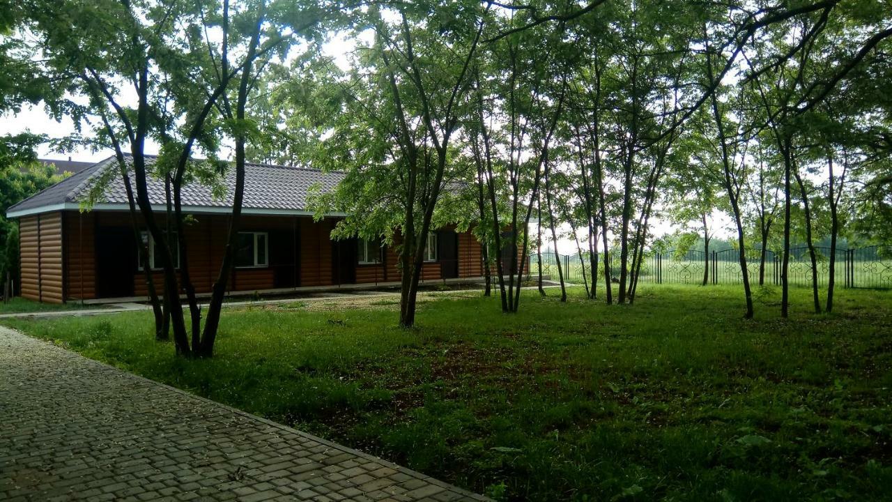 Отель "Лагита" Sergeyevka Ngoại thất bức ảnh